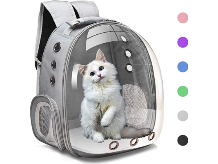 The Best Cat Backpack Carriers (2020) IUCN Water